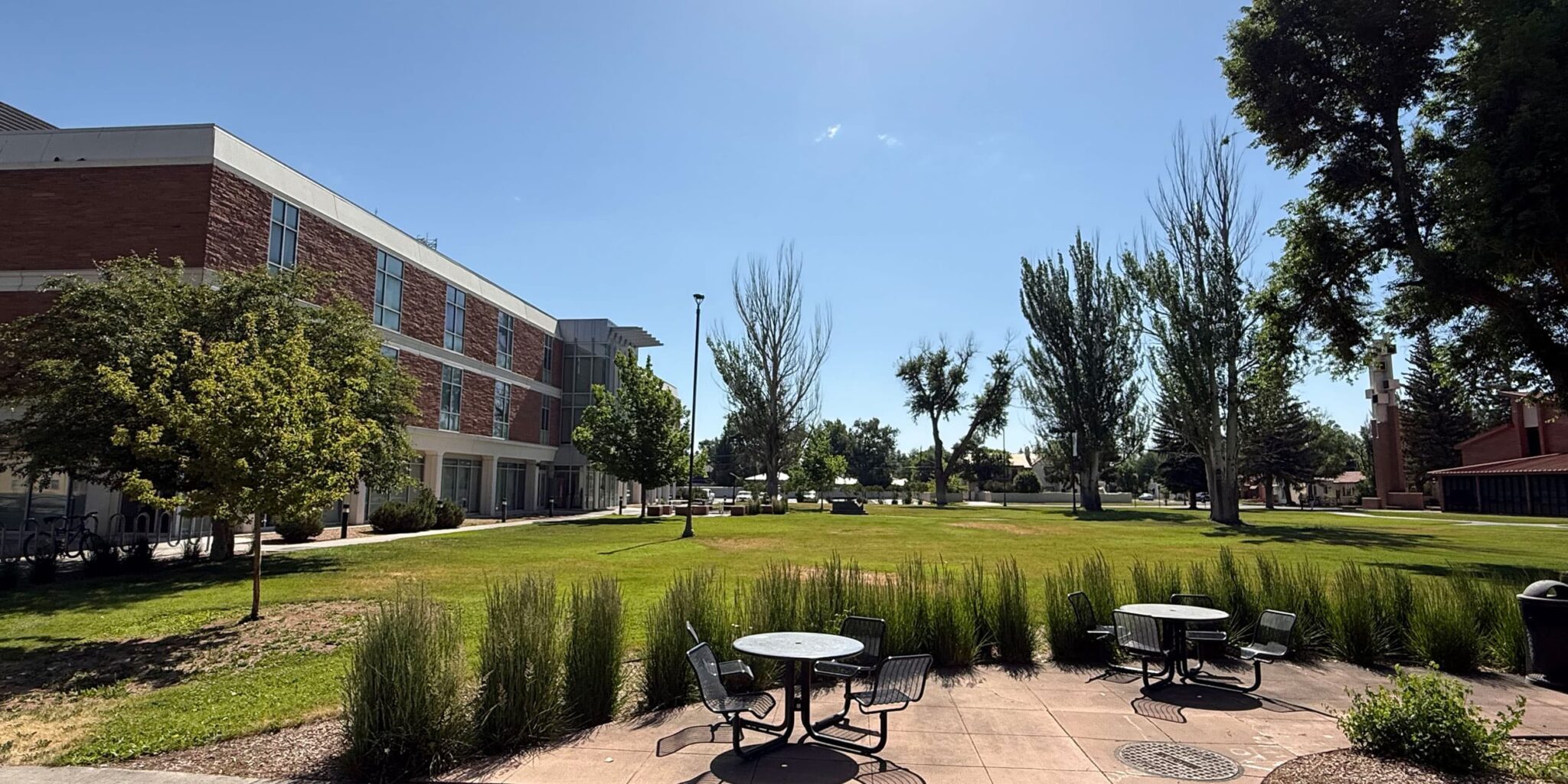 Территория колледжа